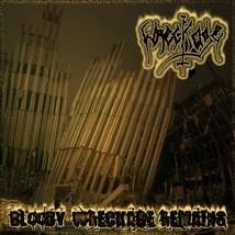 The Wreckage : Bloody Wreckage Remains